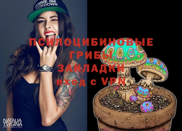 амф Корсаков