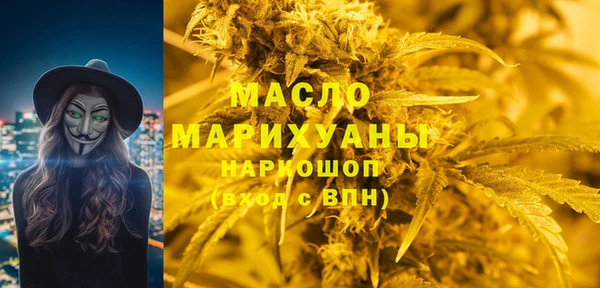 индика Коряжма